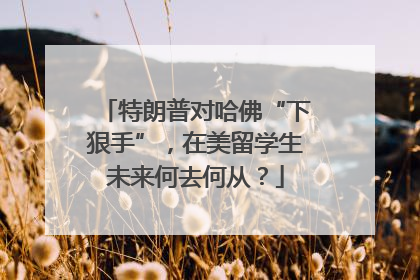 特朗普对哈佛“下狠手”，在美留学生未来何去何从？