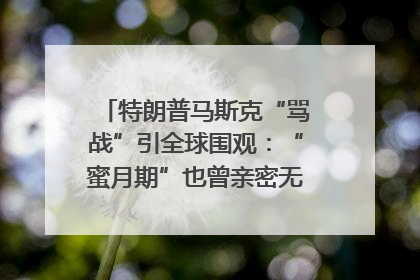 特朗普马斯克“骂战”引全球围观：“蜜月期”也曾亲密无间｜国际观察