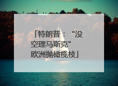 特朗普：“没空理马斯克” 欧洲抛橄榄枝