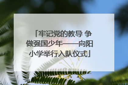牢记党的教导 争做强国少年——向阳小学举行入队仪式