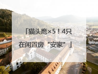 猫头鹰×5！4只在闲置房“安家”