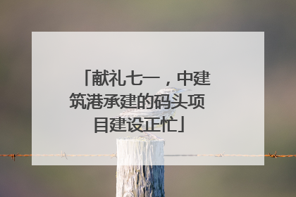 献礼七一，中建筑港承建的码头项目建设正忙