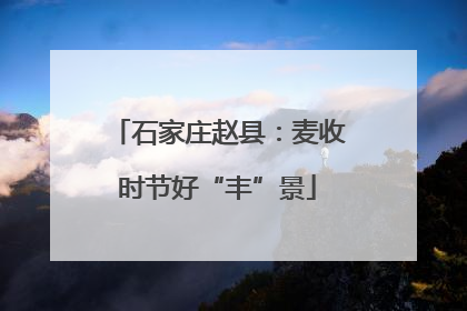 石家庄赵县：麦收时节好“丰”景