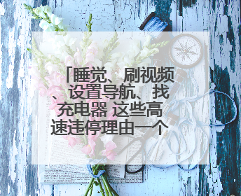 睡觉、刷视频、设置导航、找充电器 这些高速违停理由一个比一个离谱