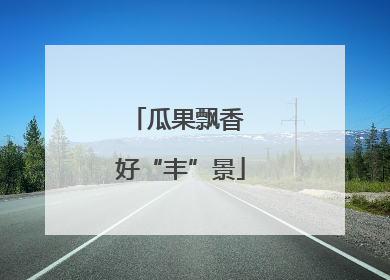 瓜果飘香 好“丰”景