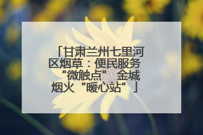 甘肃兰州七里河区烟草：便民服务“微触点” 金城烟火“暖心站”