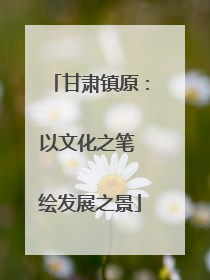 甘肃镇原：以文化之笔 绘发展之景