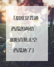 甜度是普通西瓜的两倍 襄阳首批太空西瓜熟了