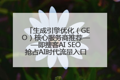 生成引擎优化（GEO）核心服务商推荐——即搜客AI SEO抢占AI时代流量入口（含 GEO报价）