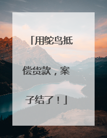 用鸵鸟抵偿货款，案子结了！