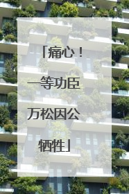 痛心！一等功臣万松因公牺牲