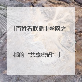 百姓看联播丨丝网之都的“共享密码”