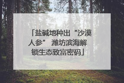 盐碱地种出“沙漠人参” 潍坊滨海解锁生态致富密码