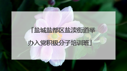 盐城盐都区盐渎街道举办入党积极分子培训班
