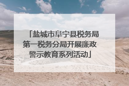 盐城市阜宁县税务局第一税务分局开展廉政警示教育系列活动