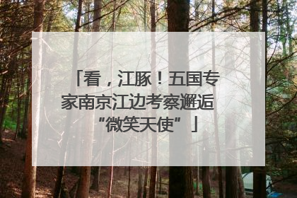 看，江豚！五国专家南京江边考察邂逅“微笑天使”