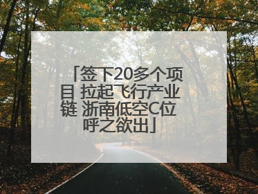 签下20多个项目 拉起飞行产业链 浙南低空C位呼之欲出