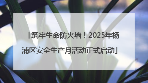 筑牢生命防火墙！2025年杨浦区安全生产月活动正式启动