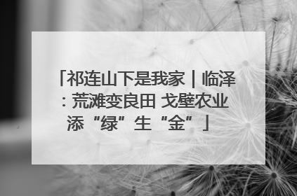 祁连山下是我家｜临泽：荒滩变良田 戈壁农业添“绿”生“金”