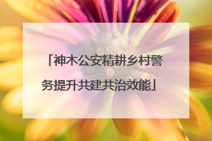 神木公安精耕乡村警务提升共建共治效能