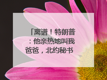 离谱！特朗普：他亲热地叫我爸爸，北约秘书长：我没有
