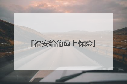 福安给葡萄上保险