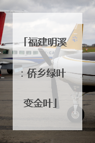 福建明溪：侨乡绿叶变金叶
