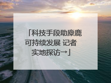 科技手段助麋鹿可持续发展 记者实地探访→