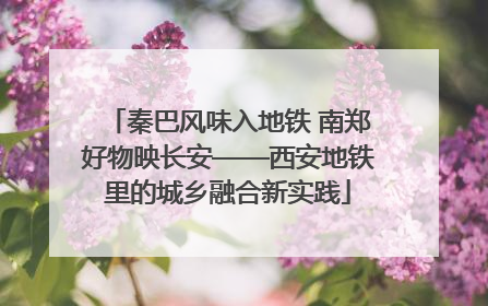 秦巴风味入地铁 南郑好物映长安——西安地铁里的城乡融合新实践