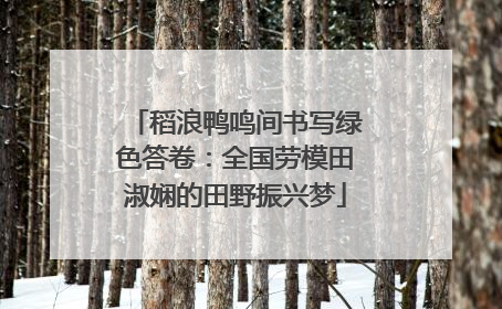 稻浪鸭鸣间书写绿色答卷：全国劳模田淑娴的田野振兴梦