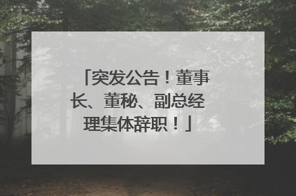 突发公告！董事长、董秘、副总经理集体辞职！