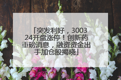 突发利好，300324开盘涨停！创新药重磅消息，融资资金出手加仓股揭晓