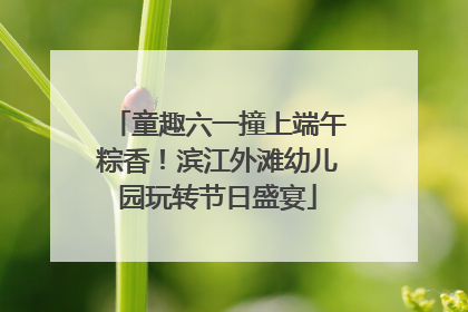 童趣六一撞上端午粽香！滨江外滩幼儿园玩转节日盛宴