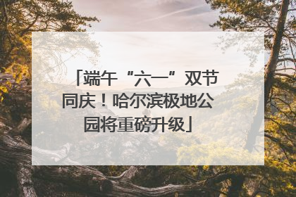 端午“六一”双节同庆！哈尔滨极地公园将重磅升级