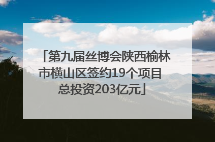 第九届丝博会陕西榆林市横山区签约19个项目 总投资203亿元