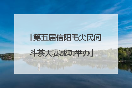 第五届信阳毛尖民间斗茶大赛成功举办