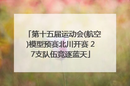 第十五届运动会(航空)模型预赛北川开赛 27支队伍竞逐蓝天
