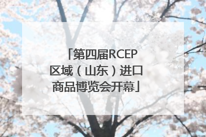 第四届RCEP区域（山东）进口商品博览会开幕