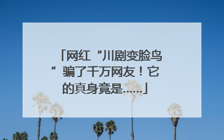 网红“川剧变脸鸟”骗了千万网友！它的真身竟是……