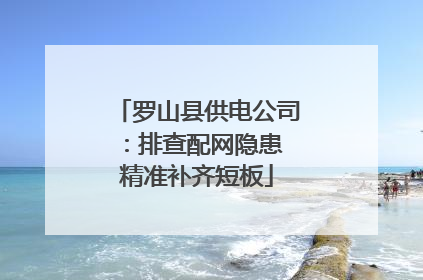 罗山县供电公司：排查配网隐患 精准补齐短板