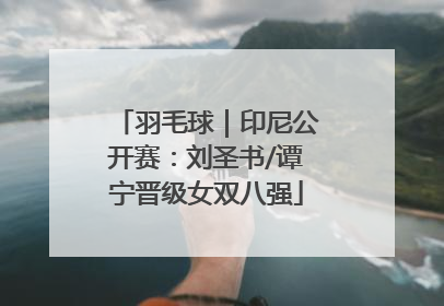 羽毛球｜印尼公开赛：刘圣书/谭宁晋级女双八强