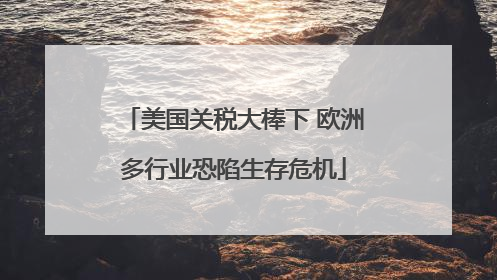 美国关税大棒下 欧洲多行业恐陷生存危机