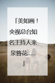 美如画！央视总台知名主持人来泉簪花……