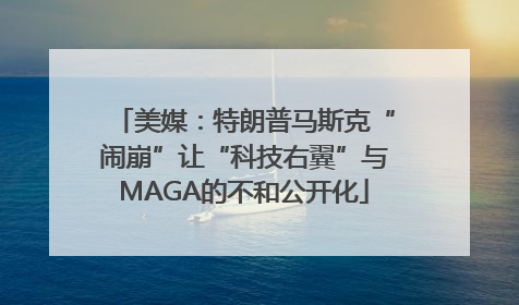 美媒：特朗普马斯克“闹崩”让“科技右翼”与MAGA的不和公开化
