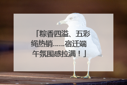 粽香四溢、五彩绳热销……宿迁端午氛围感拉满！