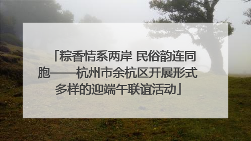 粽香情系两岸 民俗韵连同胞——杭州市余杭区开展形式多样的迎端午联谊活动