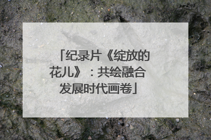 纪录片《绽放的花儿》：共绘融合发展时代画卷