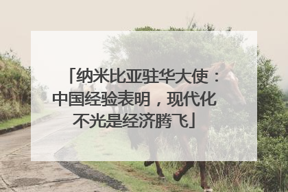 纳米比亚驻华大使：中国经验表明，现代化不光是经济腾飞