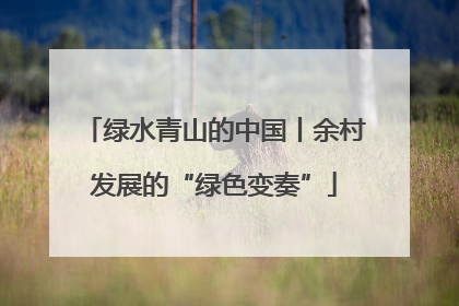 绿水青山的中国丨余村发展的“绿色变奏”