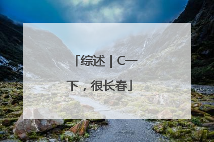 综述｜C一下，很长春
